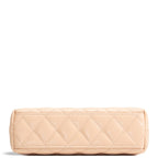 CH Shiny Aged Calfskin Nano Kelly Shopper